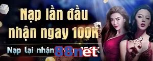 88net