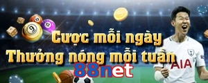 88net
